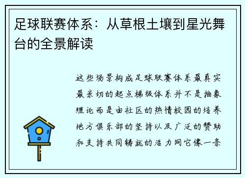 足球联赛体系：从草根土壤到星光舞台的全景解读